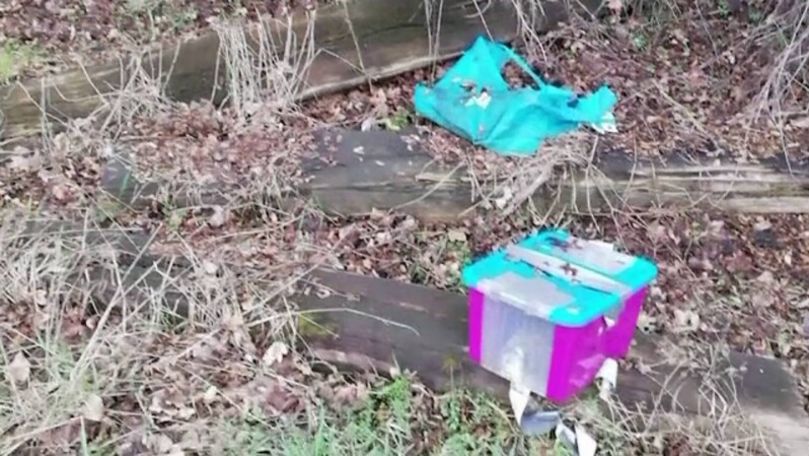 Caz șocant în Germania: Un bărbat a ucis 20 arici, 2 pisici și 2
