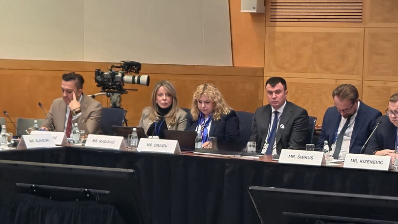 Anca Dragu: Integrarea în UE e motorul transformării economice a țării