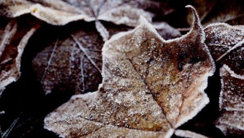 Alertă meteo: Cod galben de înghețuri în toată țara