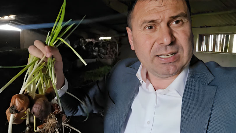 Drama unor agricultori: Tone de ceapă nu pot fi vândute și se strică