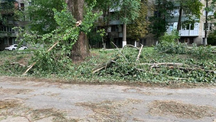 3.000 de copaci distruși de vântul puternic, evacuați din Capitală
