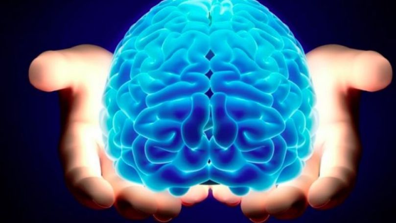 Premieră în știință: Creierele a 3 oameni, conectate între ele