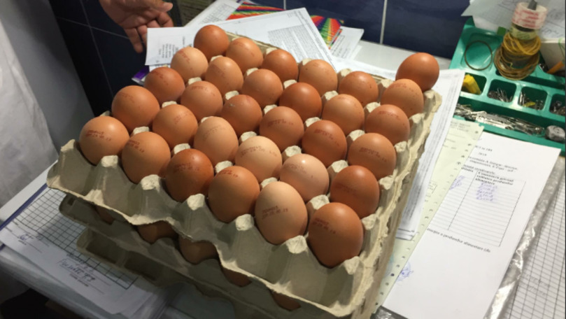 Ouă expirate la grădinițe din Chișinău. Companie: Greșeală tehnică