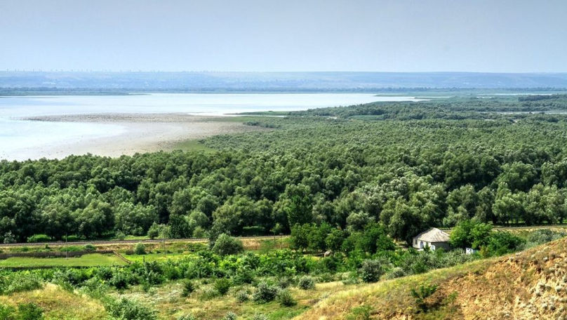 Guvernul vrea să schimbe destinația rezervației Prutul de Jos