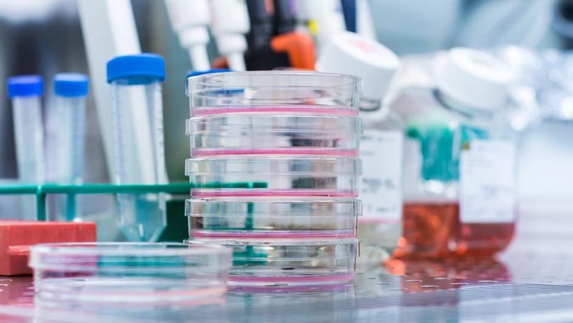 В Молдове зарегистрировали новые случаи COVID-19.