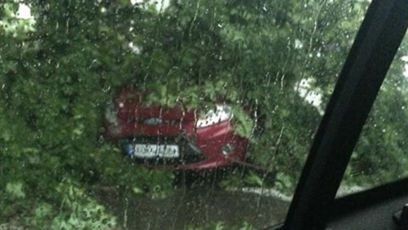 Cod galben: Un copac s-a prăbușit peste o mașină la Botanica