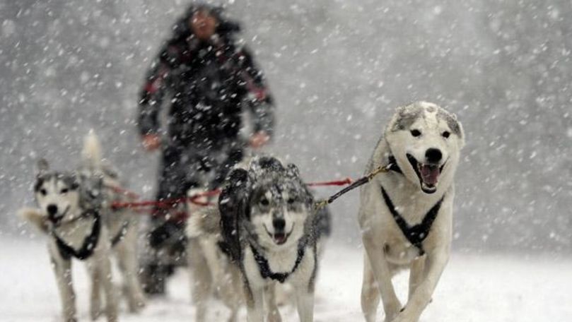 Cea mai lungă cursă canină din lume va avea loc în Kamchatka