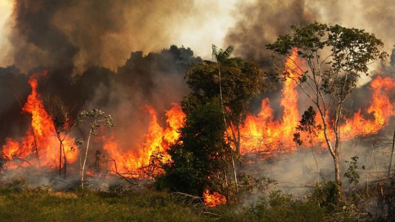 Incendiile filmate în Amazon: Unde vezi cu ochii, e numai moarte