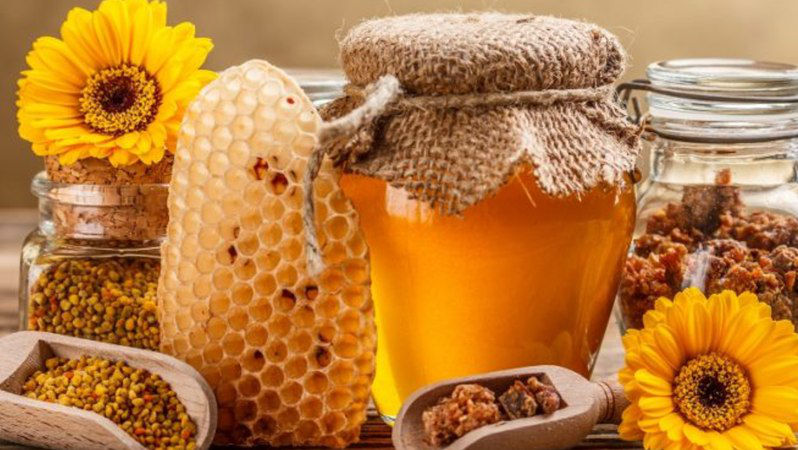 Din cauza secetei, producătorii vor aduna de două ori mai puțină miere