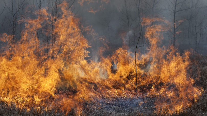 Alertă meteo: Codul Galben de pericol de incendiu este prelungit