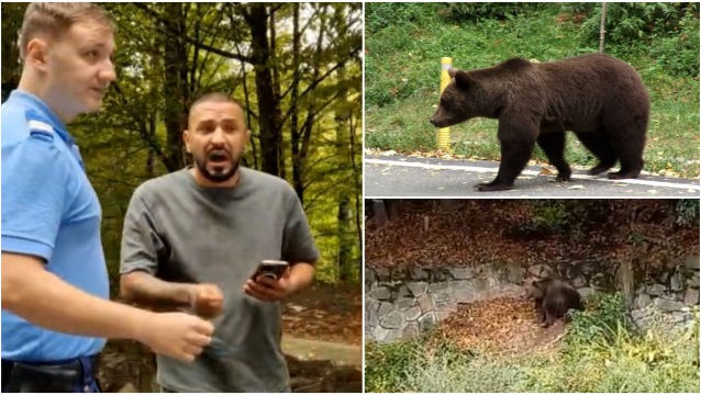 România: Turist agresiv, după ce i s-a interzis să facă poze cu un urs