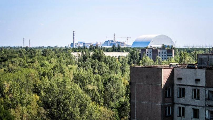Ce s-a întâmplat cu plantele la Cernobîl după dezastrul nuclear