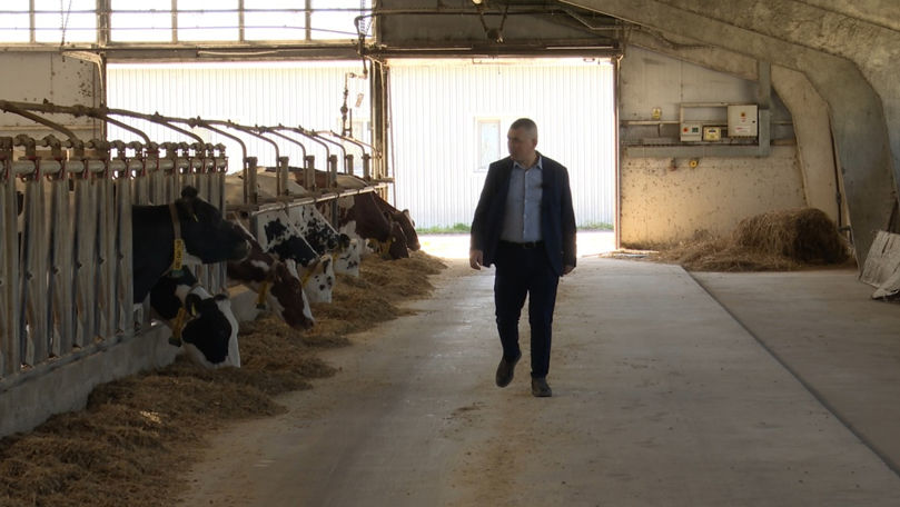 Subvențiile și tehnologia cresc producția de lapte în Republica Moldova