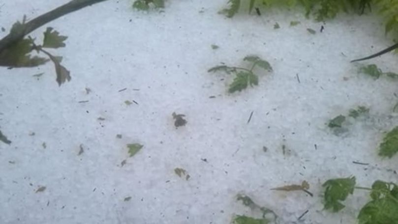 На Украине выпавший град образовал сугробы.