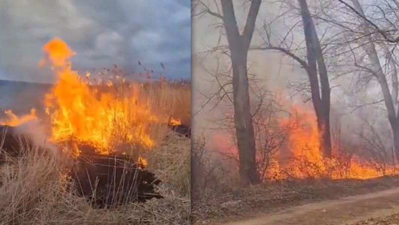 Ecolog din Moldova, despre efectele dezastruoase ale incendiilor