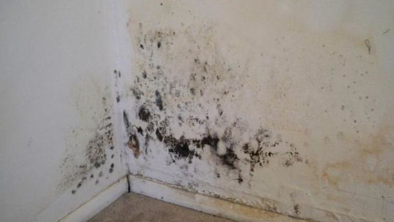 Mucegai în apartamente: Câțiva bălțeni se plâng de starea acoperișului