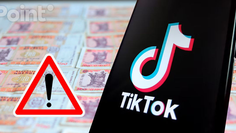 Минтруда опровергло фейк в TikTok о единовременных выплатах в 13 000 леев.