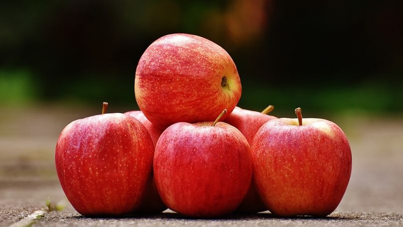 Agricultorii ar putea procesa anul acesta circa 370 mii tone de mere