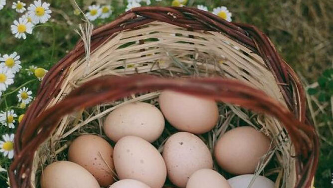 Ce se întâmplă dacă îngropi un ou într-un ghiveci