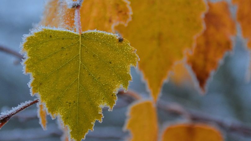 Meteo 27 noiembrie 2020: Maxime de până la +10°C. Când va ninge