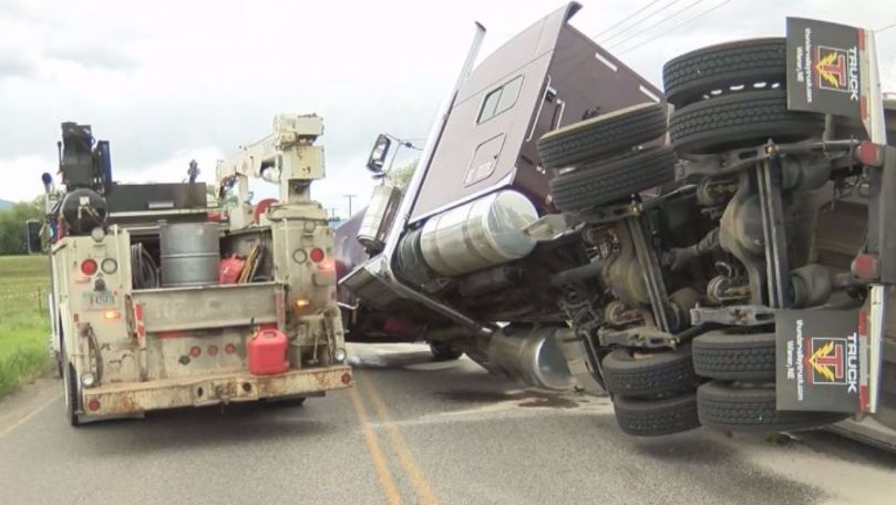 Un autocamion încărcat cu milioane de albine s-a răsturnat