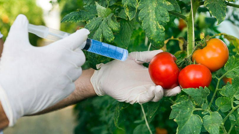 Organismele modificate genetic, pe agenda autorităților