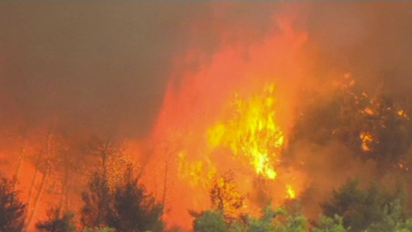 Incendii puternice pe insula Zakynthos: Sute de oameni, evacuați