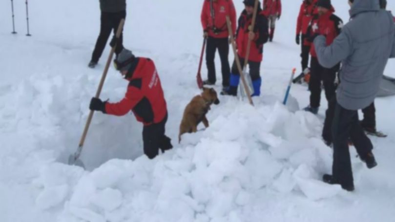 Un copil a fost găsit în viață, după ce a fost îngropat de o avalanșă