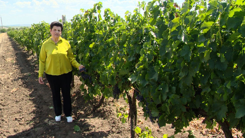 Expertă în vinificație: Vinul a devenit ambasadorul R. Moldova