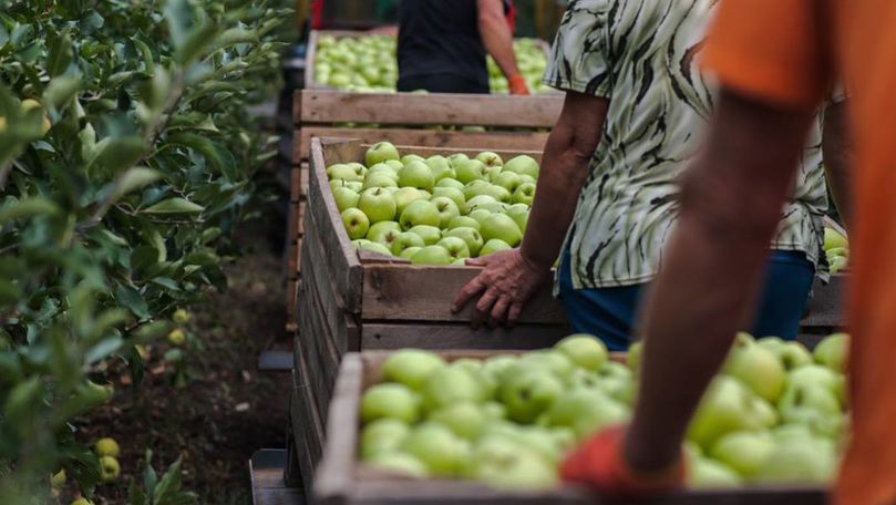 Gaberi: Cu toate că exporturile cresc, agricultorii sunt în criză