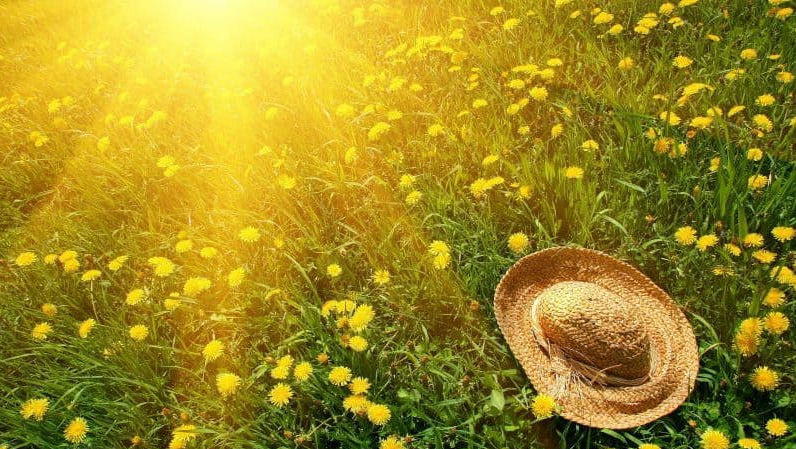 Meteo 12 august 2025: Cer preponderent însorit. Ce maxime vom avea