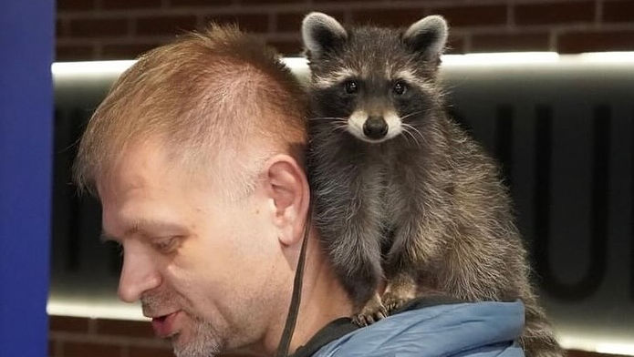 Un moldovean și-a ales un raton în calitate de animal de companie