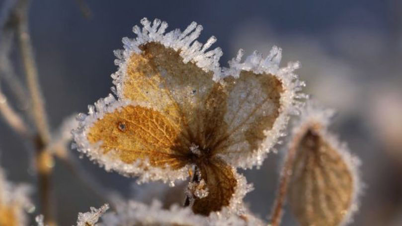 Alertă meteo: Cod Galben de îngheț în R. Moldova. Temperaturi prognozate