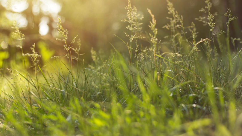 Meteo 16 mai 2022: Cer variabil și maxime de până la +25°C