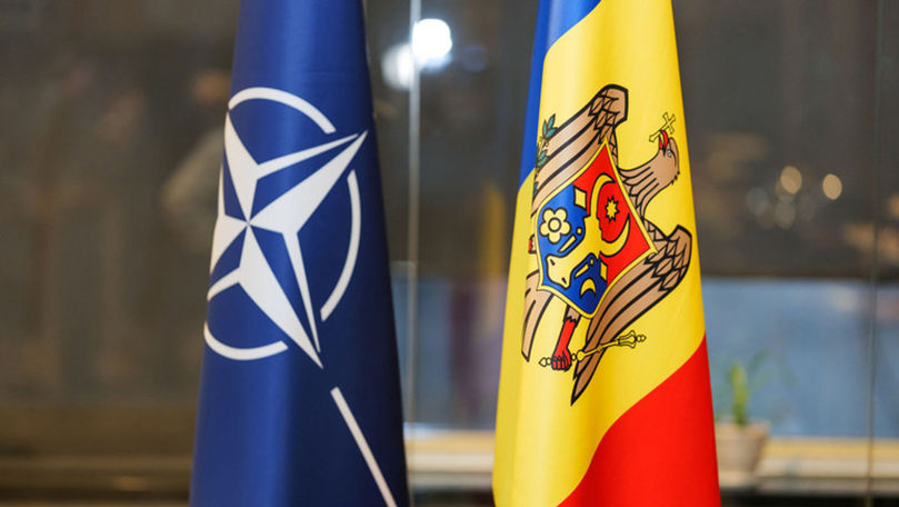 Relațiile R. Moldova cu NATO, echilibru între neutralitate și apărare
