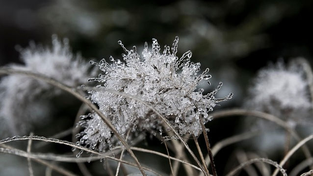 Februarie începe cu vreme mai rece: Ce timp vom avea în weekend