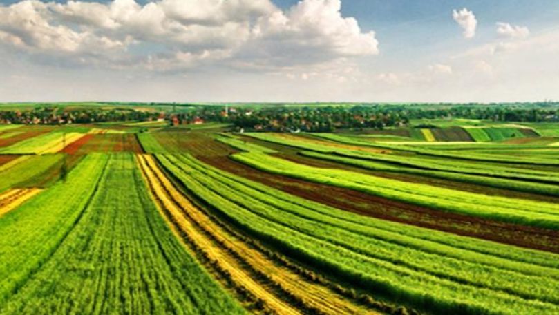 Străinii nu vor putea să cumpere terenuri agricole în R. Moldova
