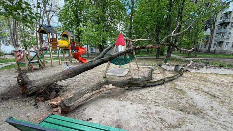 В Кишинёве сухое дерево рухнуло на детскую площадку.