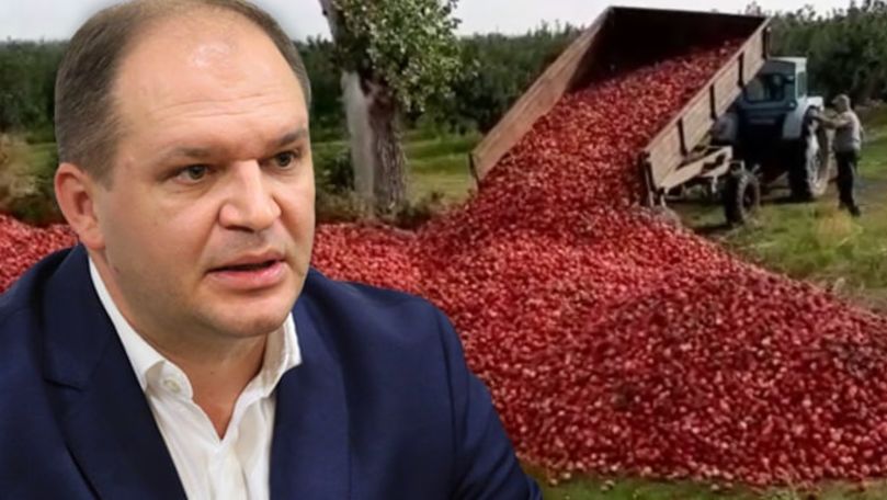 Ion Ceban vrea să cumpere mere de la agricultorii care nu le pot realiza