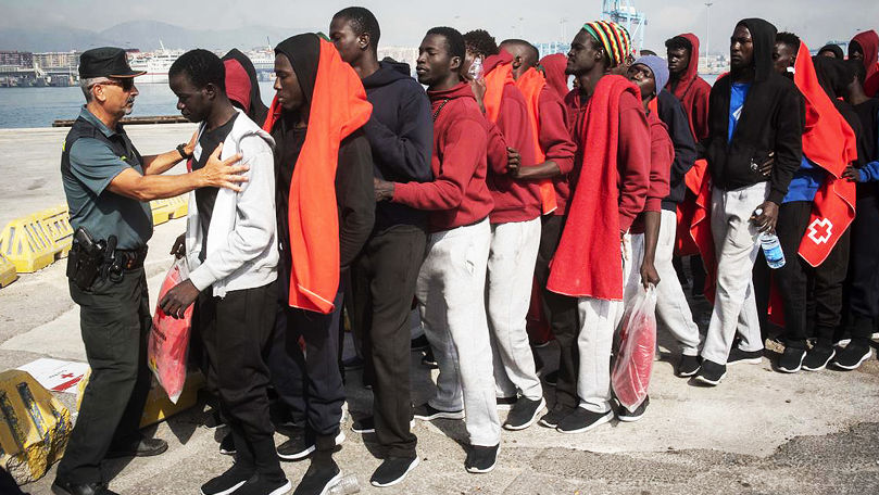 Число мигрантов в ЕС достигло 64,2 миллиона человек.