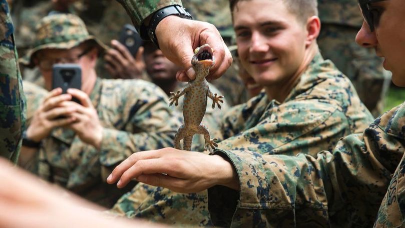 Soldaţii care au învățat să bea sânge de șarpe și să mânânce scorpioni
