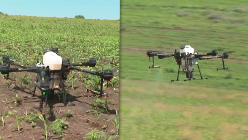 Молдавский бизнесмен купил дроны, которые использует в сельском хозяйстве. Коллаж: Point.md