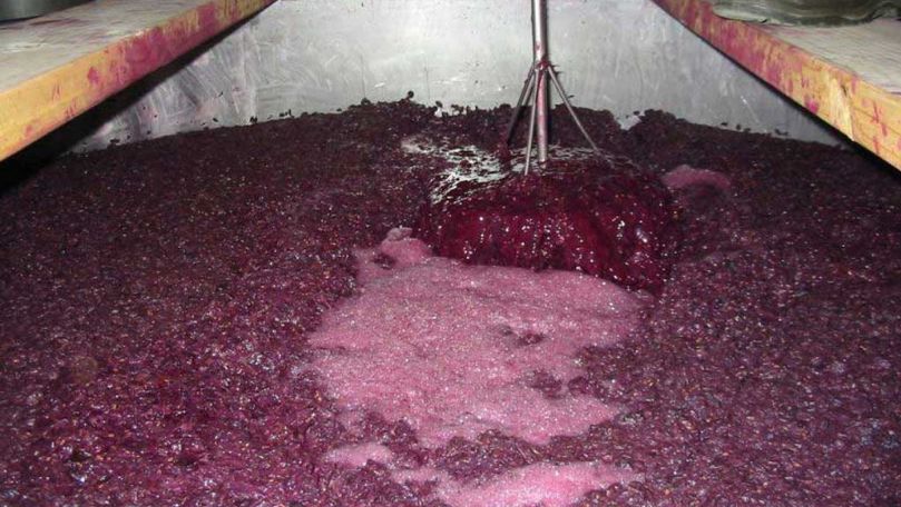 Butoaiele cu must, adevărat pericol în perioada de fermentare a vinului