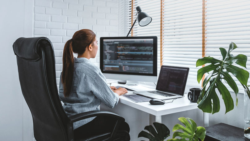 Фрилансеры в Молдове смогут пользоваться всеми соцвыплатами.