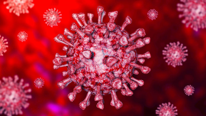 COVID România: 9.685 cazuri noi de persoane infectate și 160 decese