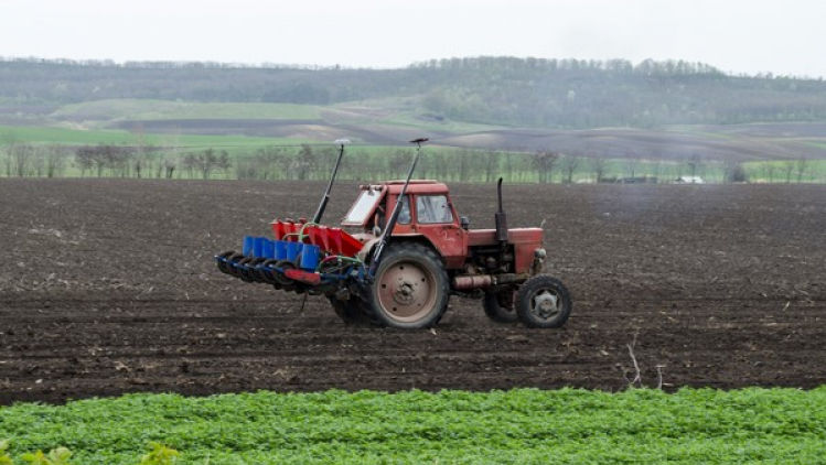 Plata subvențiilor pentru agricultori, autorizată de AIPA