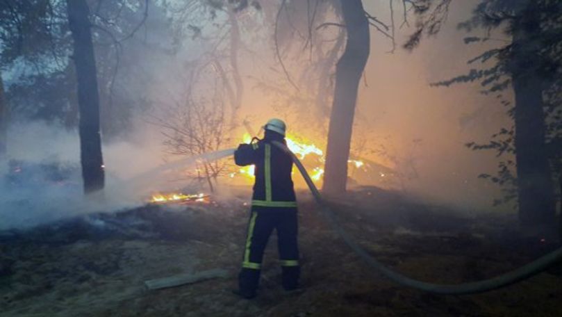 Cel puţin nouă morţi în urma incendiilor de vegetaţie din estul Ucrainei