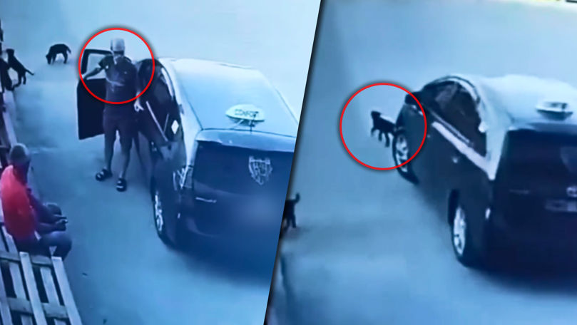 Imagini șocante: Momentul în care un taxi calcă un cățel în Chișinău