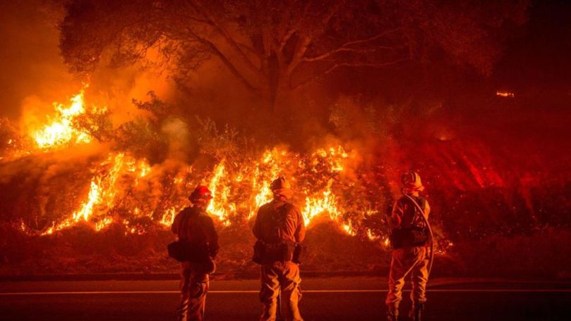 Incendiile din Siberia: Cum afectează planeta pădurile arse
