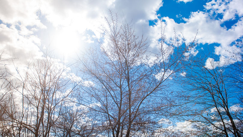 Meteo 19 martie 2023: Cer noros și maxime de până la +15°C